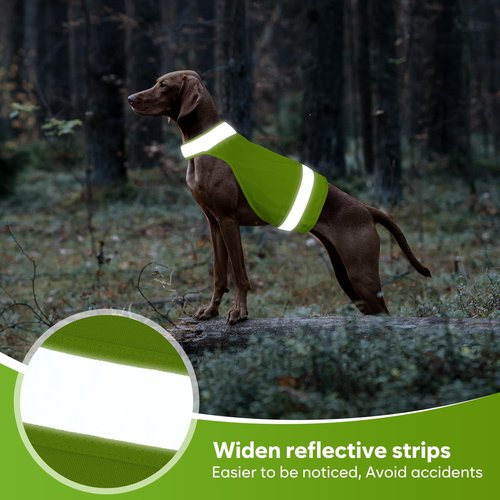2 Pieces Dog Hunting Vest, High Visibility Reflective Vest, Soft Adjustable Hiking Vest for Outdoor Hunting and Walking Night (Fluorescent Green&Blaze Orange, L)