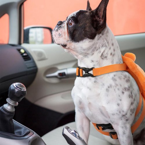 ROZKITCH Dog Backpack Harness, Soft and Adjustable Pet Saddle No Pull Bag with D-Ring for Small Medium Dogs, Cute Lion Design for Outdoor Travel, Walking, and Hiking Animal Self Carrier Bag M