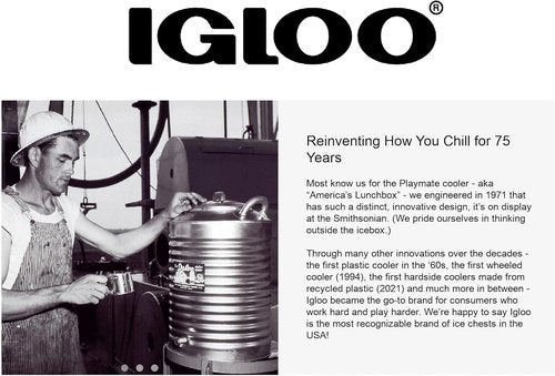 Igloo Cooler Heavy Duty Stainless Steel Hinges for Ice Chests (Set of 3)