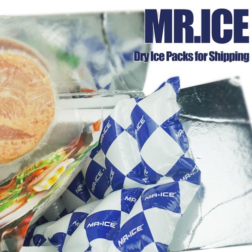Shipping Cold Packs Dry Ice Packs for Shipping Frozen Food - Freezer Packs for Coolers - Keep Food Fresh and Beverage Cold - Long Lasting Ice Packs - 24 Cells Each, 6 Sheets