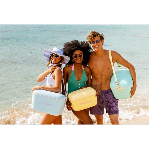 Polarbox Retro Beach Cooler Vintage Picnic Lunch Box Bag Portable Cooler Travel Camping Hiking 90s Style Ice Chest Extra Large Lightweight for Cans Beers & Seltzer Drinks 20L (Mint Gold)