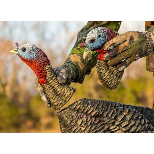 Avian-X HDR Jake Turkey Decoy with 2 Heads & HDR Feeding Hen Turkey Decoy Bundle