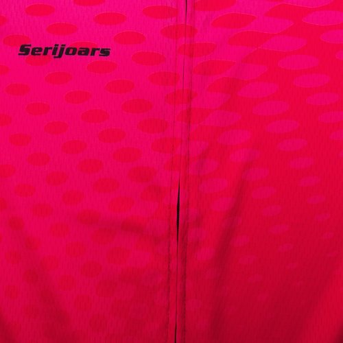 Women's Long Sleeve Cycling Jersey, Quick Dry Bike Top with Reflective Strip, Zipper and Pockets (US, Alpha, X-Large, Regular, Regular, HMXC036)