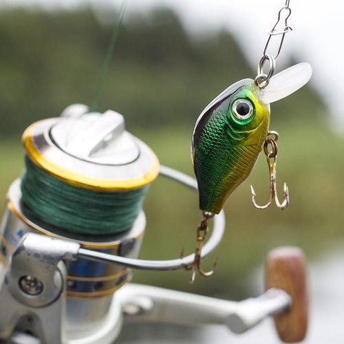 PATIKIL Fishing Lure 3D Eyes 12mm, 300Pcs Waterproof Artificial Fish Eye Fly Tying Lures Crafts Tackle Accessory for Fishing Baits DIY, 3 Colors