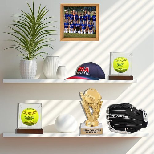 Softball Display Case with Wooden Base, 3mm Clear Acrylic Softball Holder Box, Dustproof Softball Case with Stand for Autographed Ball – 4x4x4.8 inch