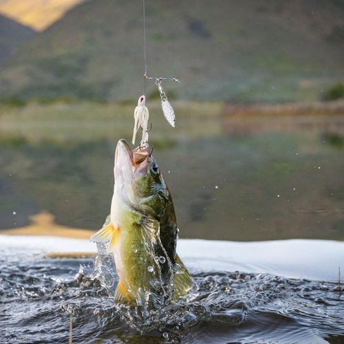 CHGCRAFT 30PCS Spinner Blades with Ball Bearing and 30PCS Fishing Spring Pins Willow Fishing Blades Lure with Swivels Tail Spinner Lure Fish Attractor for Lures Making Supplies