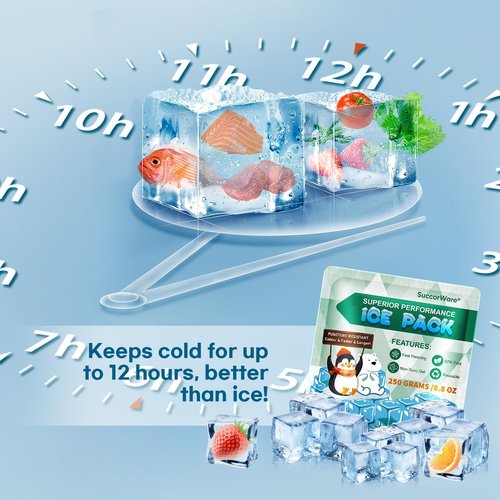 SuccorWare 5 Packs Reusable Ice Packs for Lunch Boxes - 12+ Hour Cooling Ice Gel Pack for Camping, Beach, Office - Ice Packs for Cooler Bag, Cooler Backpacks (250 Grams)