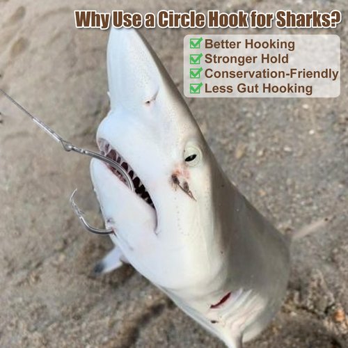CWSDXM 2 Pack Pre-Tied Shark Fishing Hook Rigs Heavy Duty Stainless Leader Wire and Big Game Circle Hooks 14/0 16/0 18/0 Ideal for Deep Sea Fishing Shark Tuna Halibut (18/0-2 PCS)