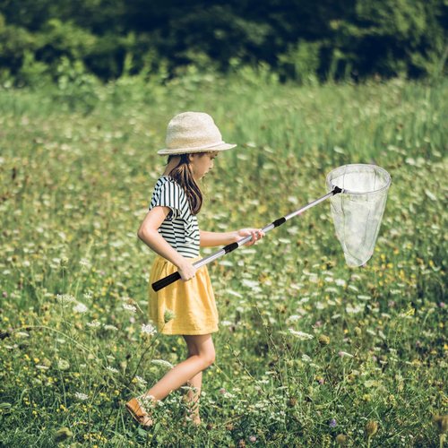 Kingrol 2 Pack Insect and Butterfly Nets, 10.5" Ring, 21.5" Net Depth, Bugs Fishing Catching Net with Telescopic Handle for Adults and Kids, Extendable 48 Inch