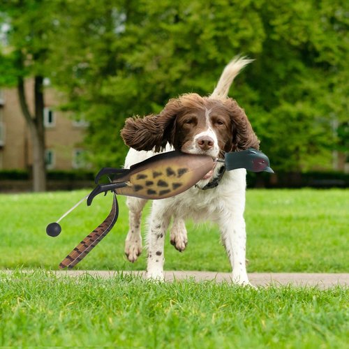 SYWAN Duck Dog Training, Pheasant Dog Training Dummies for Dog Training Hunting Dog Accessories Dogs Training Dummy Bumper Retriever Floating De-ad Bird Fowl Trainer Hunting Retriever (Pheasant)