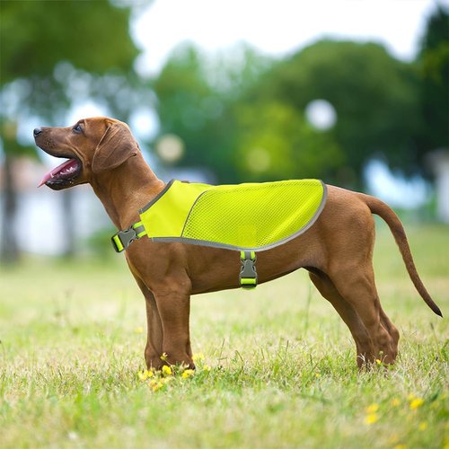 KONG Sport Hiker High Visibility Dog Safety Vest, Reflective Jacket Apparel for Low Light Conditions Outdoors, Walking, and Running, Small Medium and Large Dogs (Small), Neon Green
