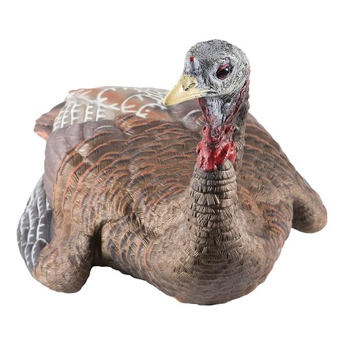 Avian-X HDR Strutter Turkey Decoy with 2 Removable Heads & LCD Laydown Hen Turkey Decoy with Carry Bag & Stake Hunting Decoy Bundle