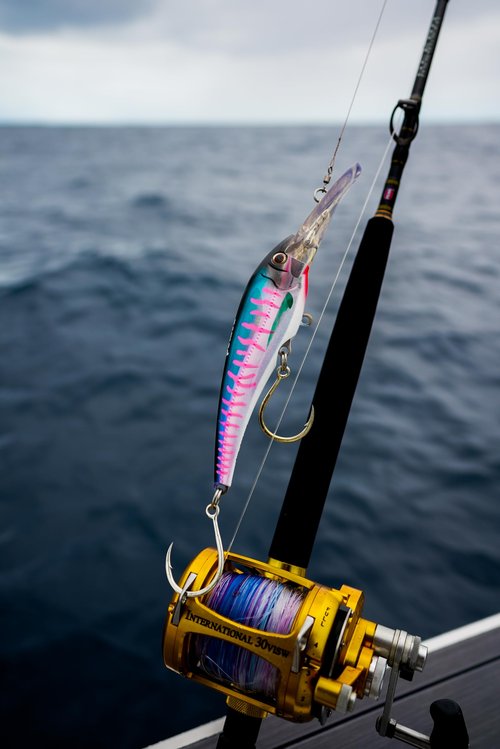 DTX Minnow 220 Heavy Duty SNK 9"