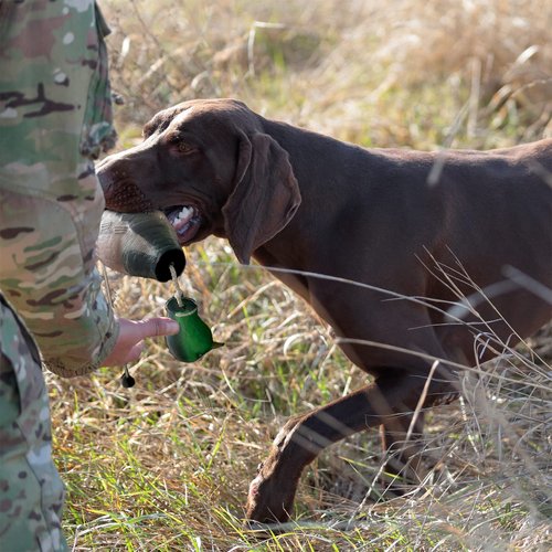 AUSCAMOTEK Duck Dummy Bumper – 2 Pieces Waterfowl Hunting Dog Training Tool for Retrievers, Realistic Mallard Design, Scent-Injectable