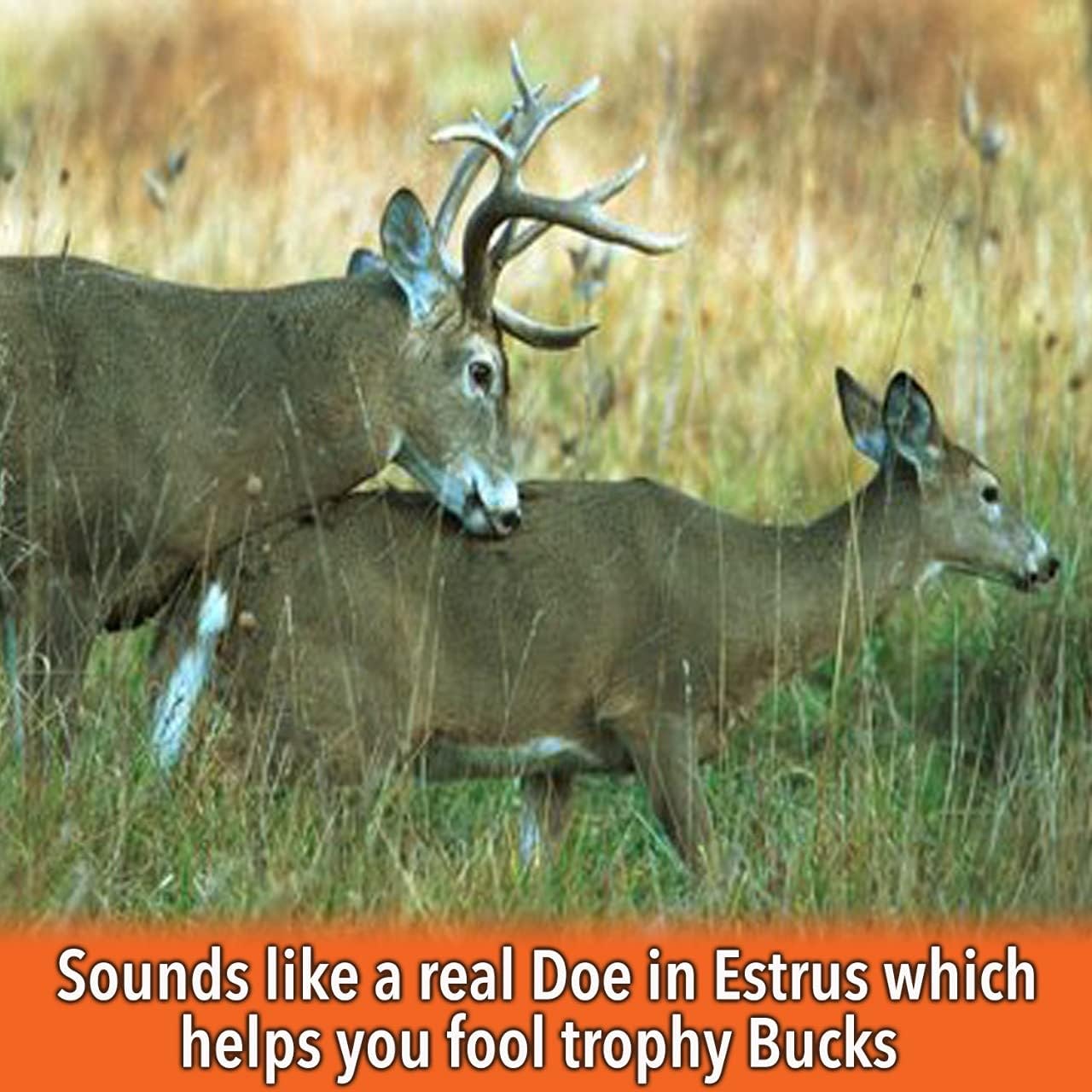 Nationwide Scents Deer Grunt Call and Rattle Bag Combo - Durable, All-Weather Deer Hunting Calls for Whitetail Bucks