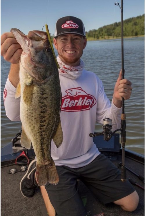 Berkley PowerBait MaxScent D-Worm