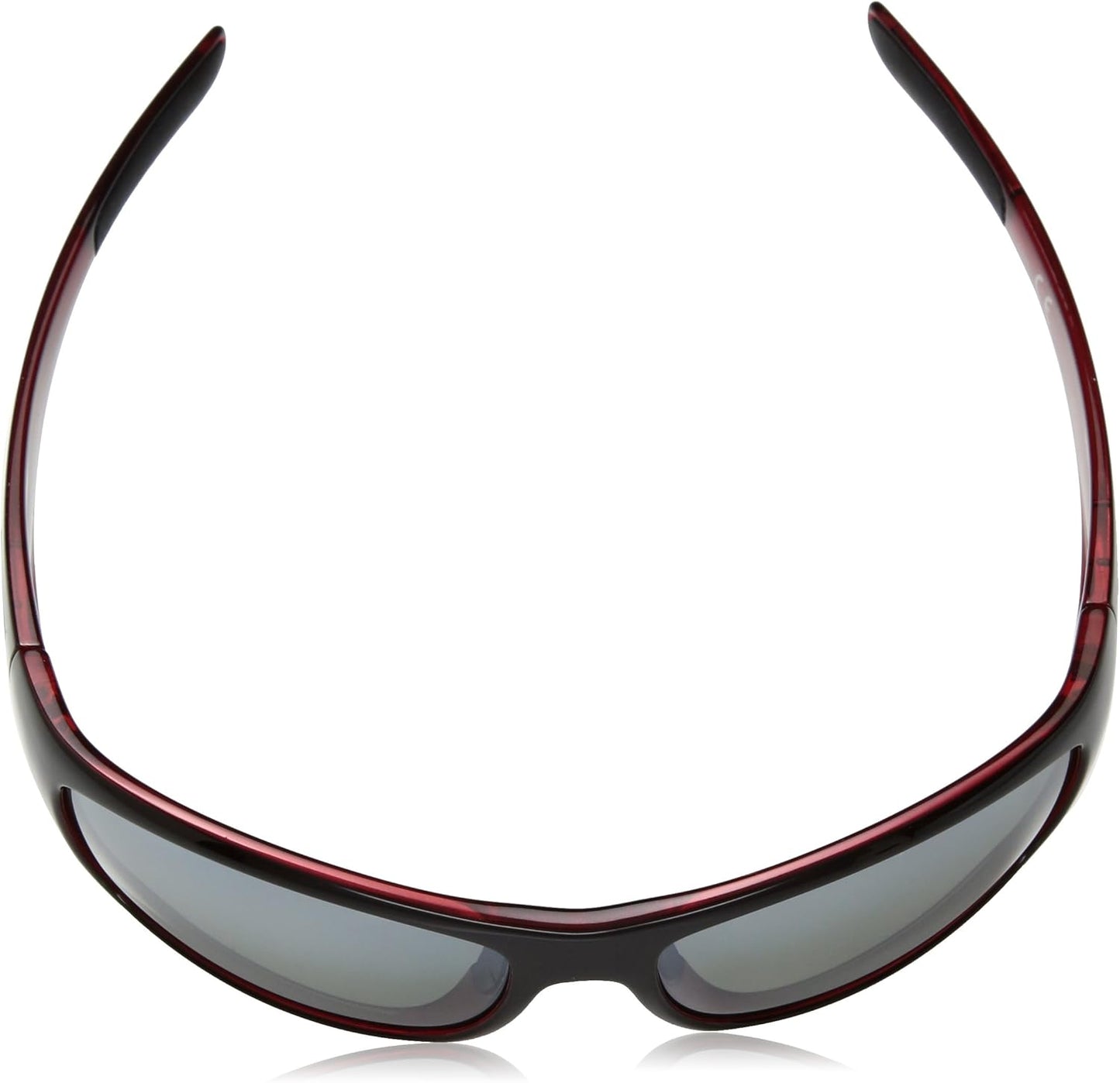 Suncloud Polarized Sunglasses