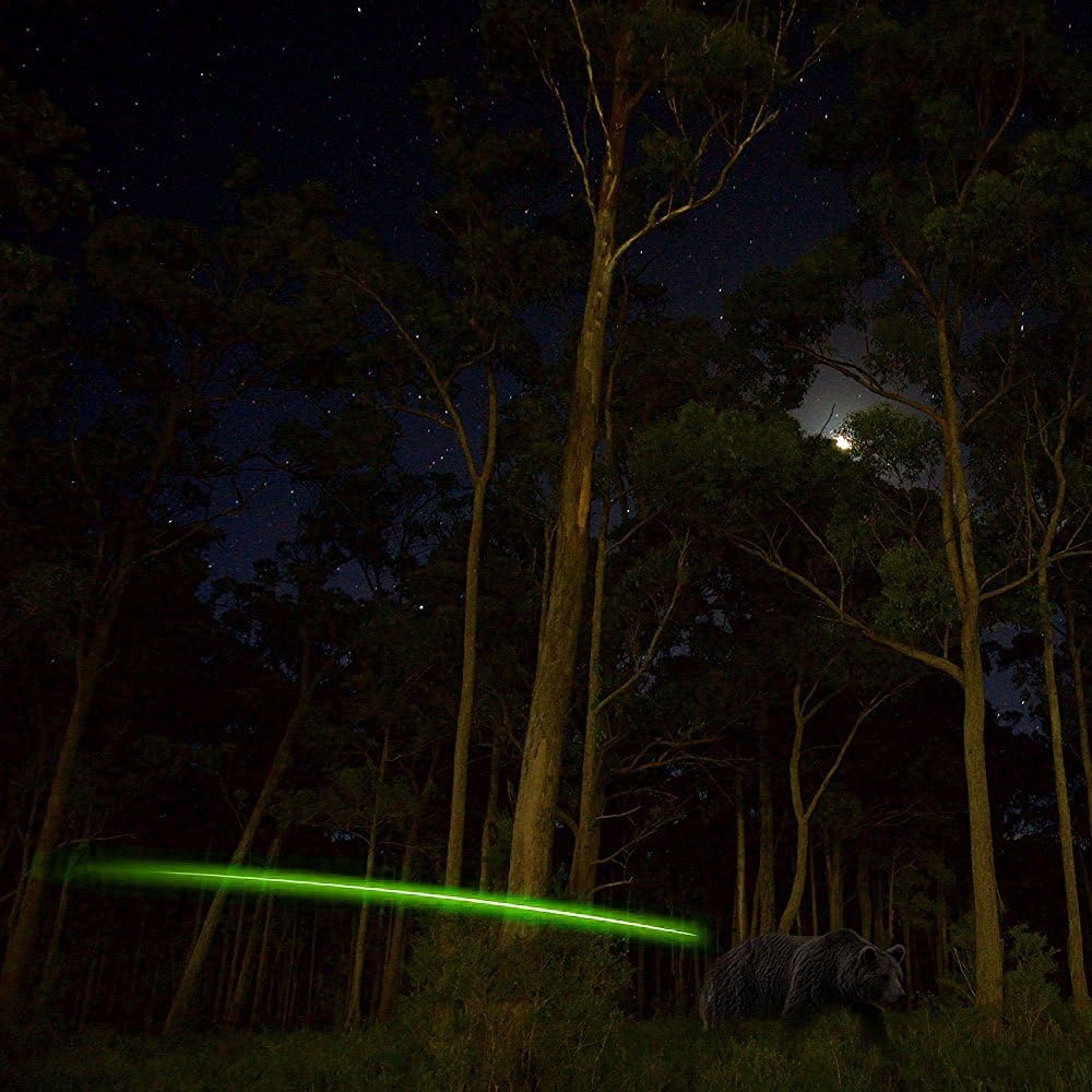 S Lighted Nocks for Arrows with .244 Light up Knocks Turn on Automatically When Shoot 6-Pack