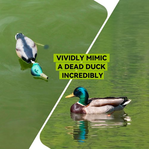 GearOZ Duck/Pheasant Dummy, Mimics Dead Duck/Pheasant Bumper for Gun Dog Training Scent Waterfowl Hunting Retriever, Outdoor Mallard Retrieval Interactive Train Toys, Floating & Durable