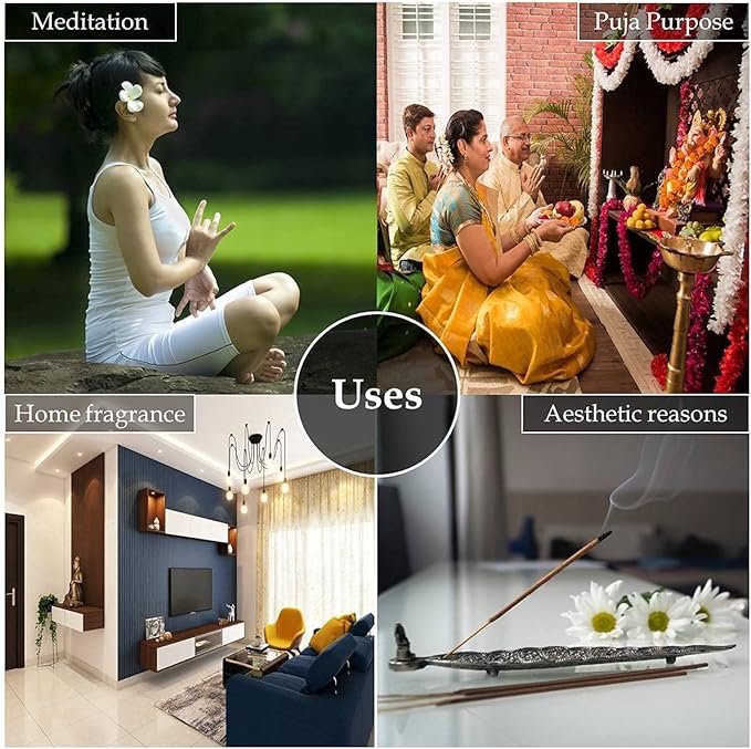 HEM White Sage Backflow Brown Incense Cones | Long Lasting Aroma for Positivity & Pure Air | Wood Powder | Aromatherapy for Stress Relief, Air Purifier & Cleansing | Gift Set - Pack of 40 Cones