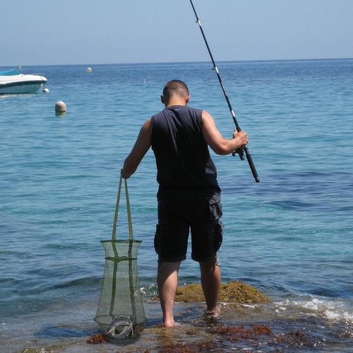 Collapsible Fish Basket Mesh Fish Trap Portable Fish Cage Foldable Fishing Keep Net for Keeping Fish Alive, Bait Storage Crayfish Crab Minnows Shrimps Lobsters