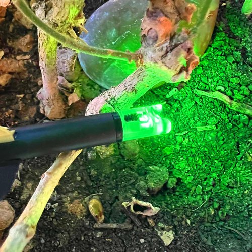 Lzwow 6PCS Lighted Nocks Universal Fit for Crossbow Bolts with .285”/.297”/.300”/.305” Bushings Half-Moon Light up Knocks (Green)