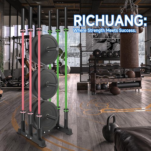 RICHUANG Olympic Weight Plate Rack for Bumper Plate Storage, 2 Inch Weight Plate Tree and Barbell Holder for Home Gym, 4-Pegs 6-Pegs Olympic Weight Tree, Capable of Holding Up to 880LB