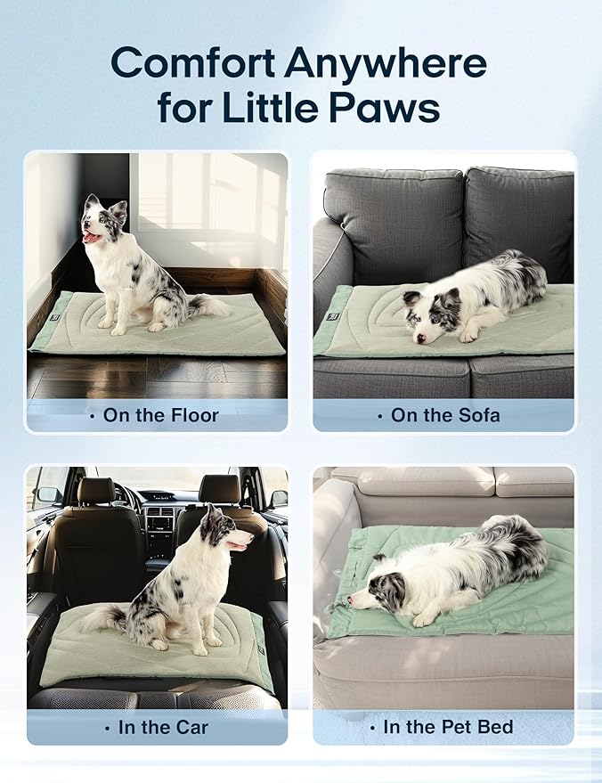 ZonLi Dog Cooling Mat, 43" x 30" Large, Waterproof Cooling Pad for Dogs & Cats, Portable & Durable Pet Mat for Crate, Trunk, Camping, Outdoors, Machine Washable, Ice Green