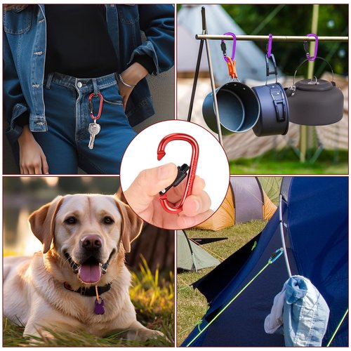 10 Pack Carabiner Clip, 2.28 inch Aluminum D-Ring Shape Locking Carabiners, Snap Hook Sport Accessories for Outdoor Camping Hiking