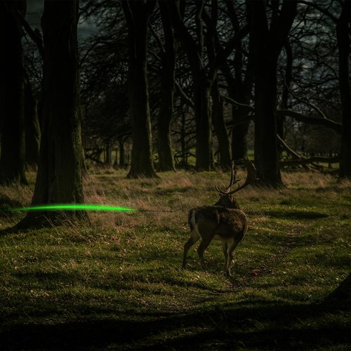 Omoojee 4PCS Lighted Nocks Universal Fit for Crossbow Bolts with .285”/.297”/.300”/.305” Bushings, High-Visibility LED Arrow Nocks, ON/Off Switch Included