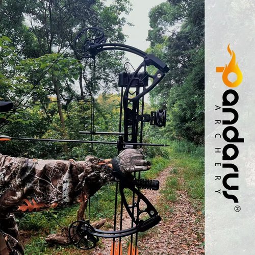 PANDARUS Archery Compounnd Bow Set Fully Adjustable for Adults and Teens,25.4"-32" Draw Length,30-70LBS Draw Weight,Up to 320 FPS,Limbs Made in USA 2025 New(Right Handed Pro Black)
