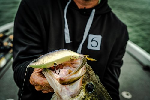 The Draw 6.5 - Pro's Choice