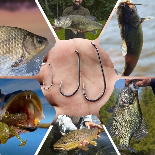Natufish Baitholder Fishing Hooks 50Pcs Bait Holder Hooks Offset/Double Barbed/Long Shank/Down Eye for Soft Live Baits Saltwater(Size 4#)