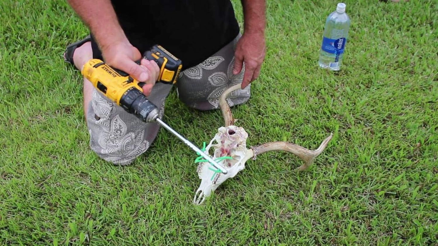 Raptorazor Scrambler Deer and Elk Skull Cleaning Tool