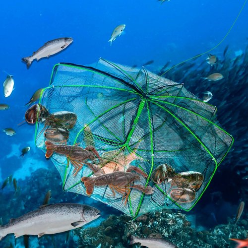 10 Sides 10 Holes Fishing Bait Trap, 32 * 10 Inch Portable Folded Fishing Nets for Minnow Crab Shrimp Crawdad, Upgrade Nylon Mesh Net Fishing Equipment