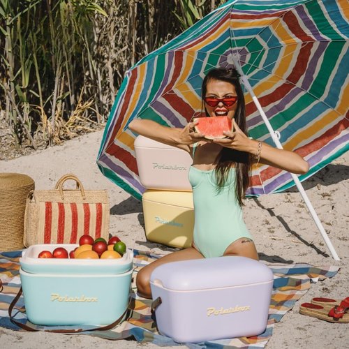 Polarbox Retro Beach Cooler Vintage Picnic Lunch Box Bag Portable Cooler Travel Camping Hiking 90s Style Ice Chest Extra Large Lightweight for Cans Beers & Seltzer Drinks 20L (Mint Gold)