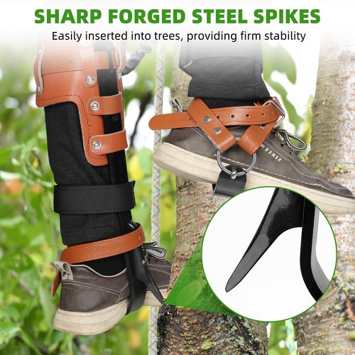 Xeoca Tree Climbing Spikes Set Tree Climbing Gear 1 Pair Alloy Steel Climbing Spurs 350lbs Load Capacity Arborist Equipment for Climbers, Fruit Picking and Lumberjack