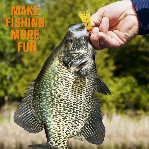Dovesun Crappie Jigs, 40pcs Hand-Tied Hair Jigs 10 Colors Fishing Jigs 1/8oz Bucktail Crappie Jig Heads for Trout, Walleye and Panfish Fishing