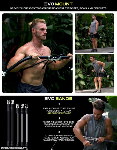 EVO Bow - All in One Portable Home Gym System | Compact Strength Training and Exercise Equipment for Travel with Notched Resistance Bands for Full Body Training and Weighted Pushups | 300lbs (Ultra)