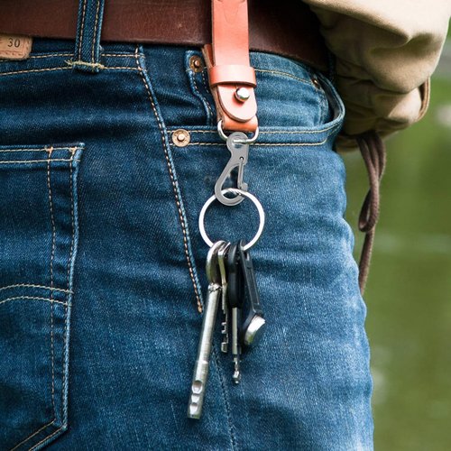 Qianyu 12 Pack Small Carabiner Clip Metal Spring Snap Connect Hooks Multipurpose Mini Paracord Hanging Clips for Backpack Camera Strap Flashlight Camping Hiking Key Chain Accessories