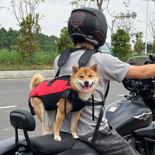 Dog Backpack Carrier for Medium/Small Dogs Dog Carrying Backpack Emergency Backpack Old, Disabled, Joint Injuries, Arthritis, Senior Dogs Up and Down Stairs, Cars Dog Hiking Backpack (M)