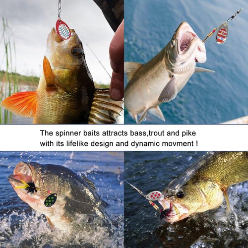 YPWUE Rooster Tail Fishing Lures – 10pcs Inline Spinner Baits Kit for Trout, Bass & Salmon – Effective in Freshwater, Streams & Fast Currents