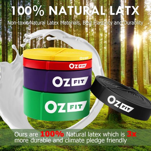 OZFIT Resistance Bands Set, Exercise Bands for Working Out, Pull Up Assistance Bands Workout Equipment for Home Gym, Physical Therapy Bands for Stretching & Muscle Training