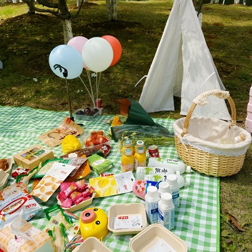 YU FENG Green Picnic Blanket Gingham Foldable Camping Blankets Waterproof Sandproof Outdoor Beach Mat Lightweight Handbag Spring Summer (60x80 inch)