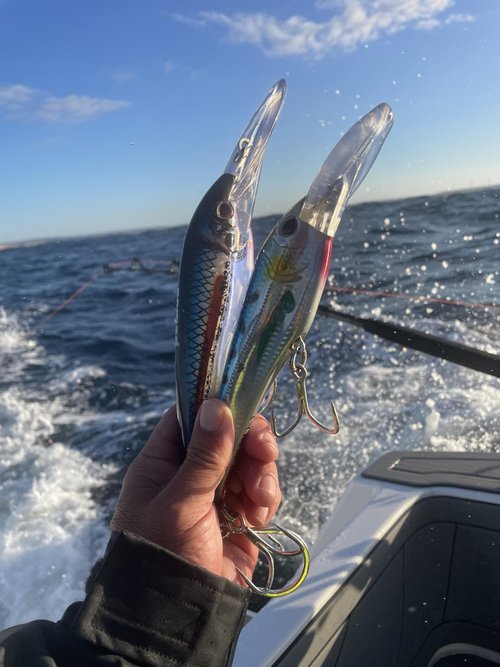 Nomad Design DTX Minnow 200 Heavy Duty SNK 8 Saltwater Fishing Lure with Autotune - Deep Diving Minnow Lure Ideal for Tuna, Wahoo & Mackerel, Trolls 12+ Knots-Wahooligan
