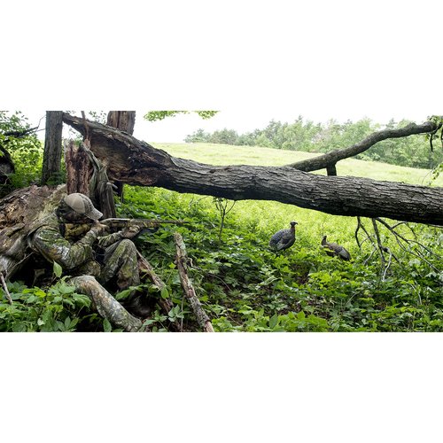 Avian-X HDR Feeding Hen & LCD Lookout Hen Turkey Decoys with Carry Bags & Stakes | Durable Realistic Lifelike Hunting Decoys