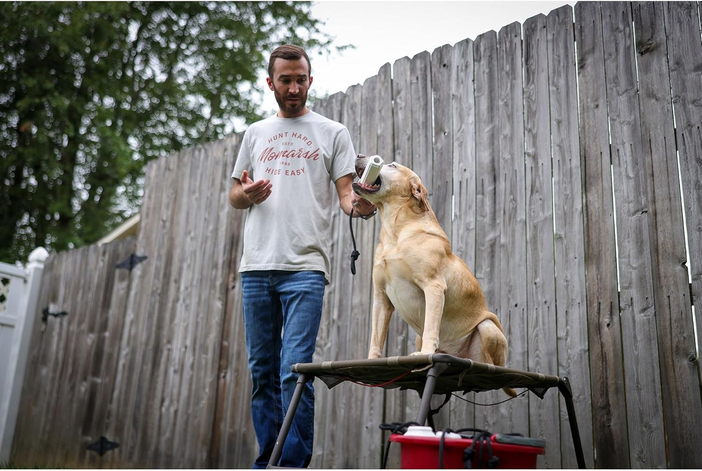 Momarsh Final Stand Dog Adjustable Training Platform | Hunting Stand | Elevated Pet System for Place, Agility & Steadiness | Waterfowl Duck Trainer System | Mesh Bottom, Mud Feet | 150 lb Capacity