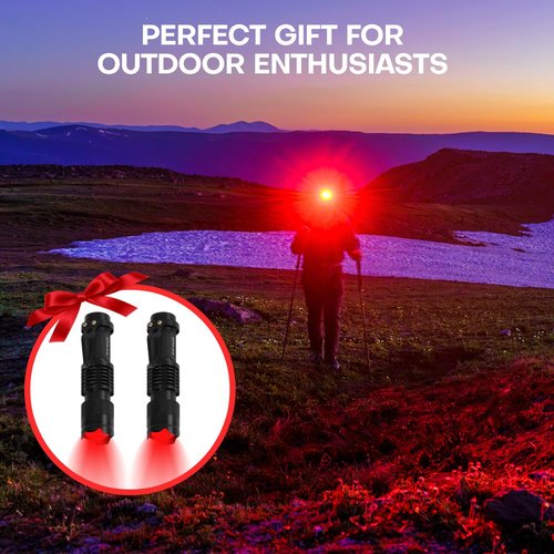 HinsGEAR 2 Pack Red Flashlight LED Single Mode Light 1 Mode LED Torch Scalable Red Light Flashlight for Astronomy Aviation Night Observation