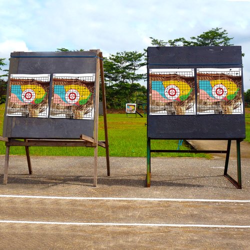 TLSWSHSY 20 Animal Shooting Paper, 16''x16'' Deer Target with Pegs, Highly Visible Vital Organ Target for Hunting Archery Practice