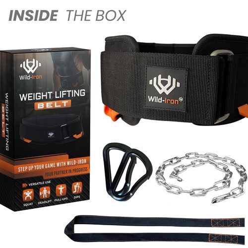 Wild-Iron Weight Lifting Belt – 2-in-1 Dip Belt with Weighted Belt, Chain – Heavy-Duty Dip Belt for Weight Lifting, Squats, Pull-Ups, Deadlifts – Quick- Release Back and Lumbar Support Belt